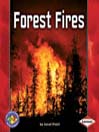Forest Fires